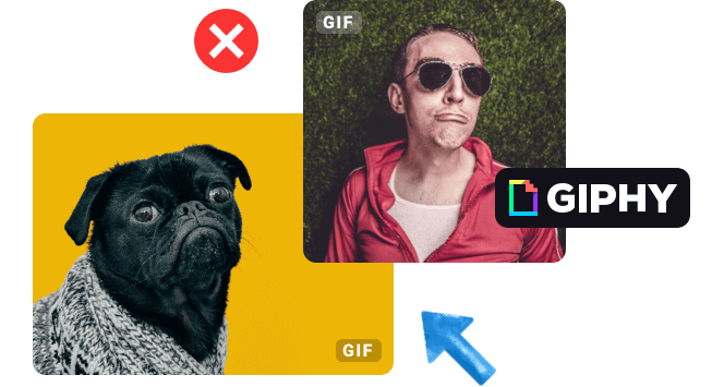 GIFs y pegatinas animados y divertidos